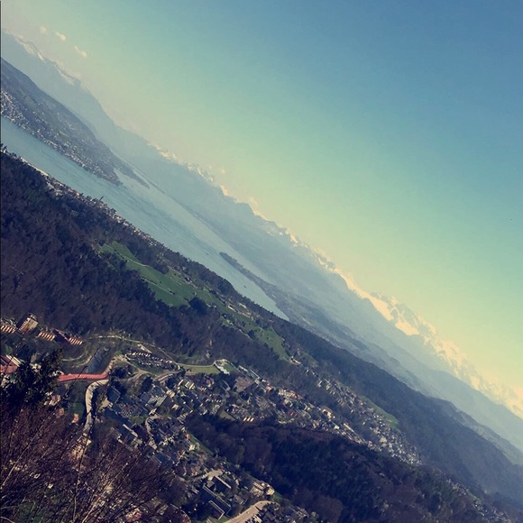 Meet your Posher, Lili - Picture 1 of 1